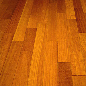 sturdy wood floors plus